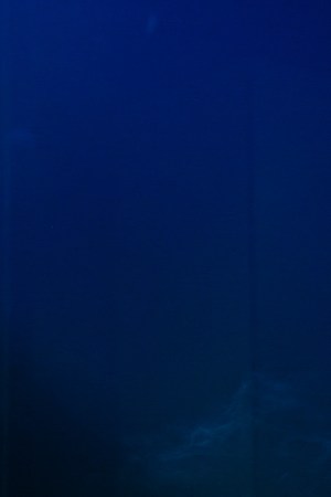 Don Omar_Back to Reggaeton Tour