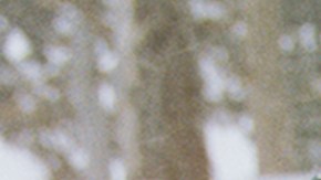 The Marias_‘The Submarine Tour’