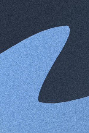 angie k_carin leon_Latine Country Artists