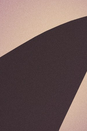 arca-tokischa_LGBTQ+ Music