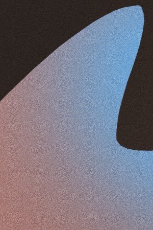 belinda-natanael cano_Announce