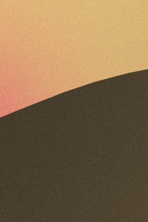 Latine Met Gala collage