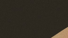 Mariah Carey_Karol G_Rock in