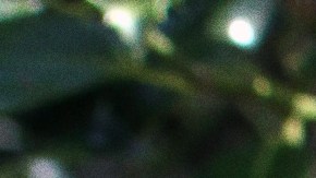 Natalia Ángeles Vieyra