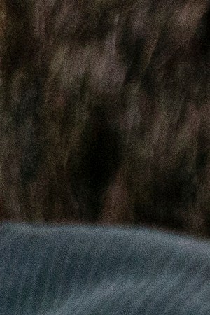 Bridgerton. (L to R) Luke Newton as Colin Bridgerton, Nicola Coughlan as Penelope Featherington in episode 302 of Bridgerton. Cr. Liam Daniel/Netflix © 2024