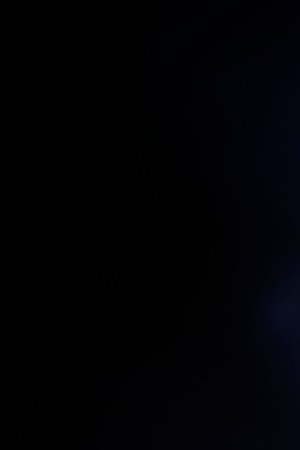 Photo by Suppasit Chukittikun via Getty Images