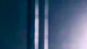 Pitbull performs during The Trilogy Tour at Bridgestone Arena on February 28, 2024.