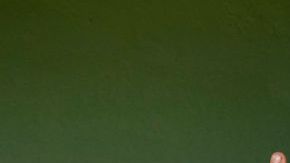 El Mejor Del Planeta_El Alfa