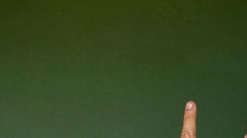 El Mejor Del Planeta_El Alfa