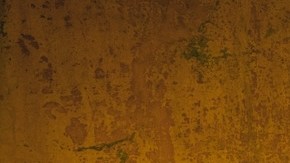 rontera_Jugando A Que No