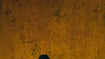 rontera_Jugando A Que No