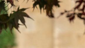 Bridgerton. (L to R) Luke Newton as Colin Bridgerton, Nicola Coughlan as Penelope Featherington in episode 301 of Bridgerton. Cr. Liam Daniel/Netflix © 2024