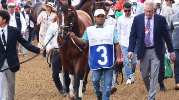 LOUISVILLE, KY - MAY 04: Mystik Dan walks from the backside of the track with Oswaldo Salazar to the paddock before the 150th running of the Kentucky Derby on May 4, 2024, at Churchill Downs in Louisville, Ky. (Photo by Jeff Moreland/Icon Sportswire via Getty Images)