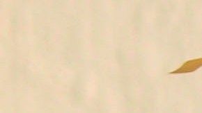 Photo by Ulises Ceron