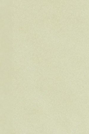 Natanael Cano_Rocío Dúrcal_Mayweather Jr.