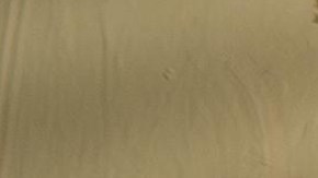 Photo Credit: Izy Films