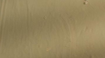 Photo Credit: Izy Films