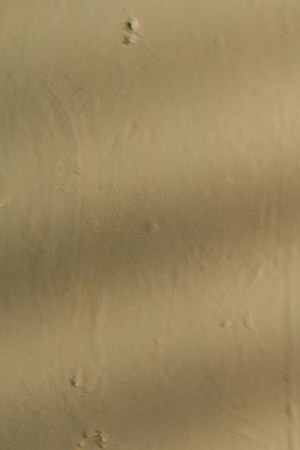 Photo Credit: Izy Films