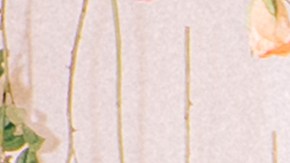 Sophie Castillo-London