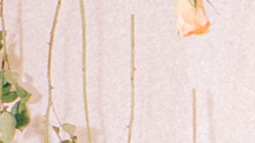 Sophie Castillo-London