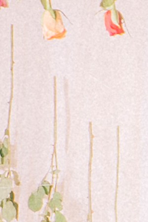 Sophie Castillo-London