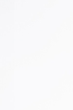 ‘Perdió’-bad gyal-ivy queen