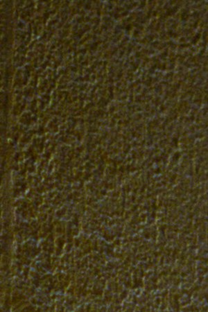 Rauw Alejandro_“Touching The Sky”