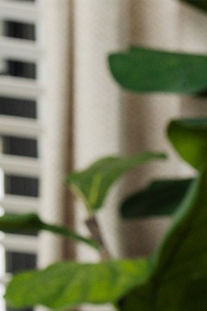 Photography by Alfonso Durán.