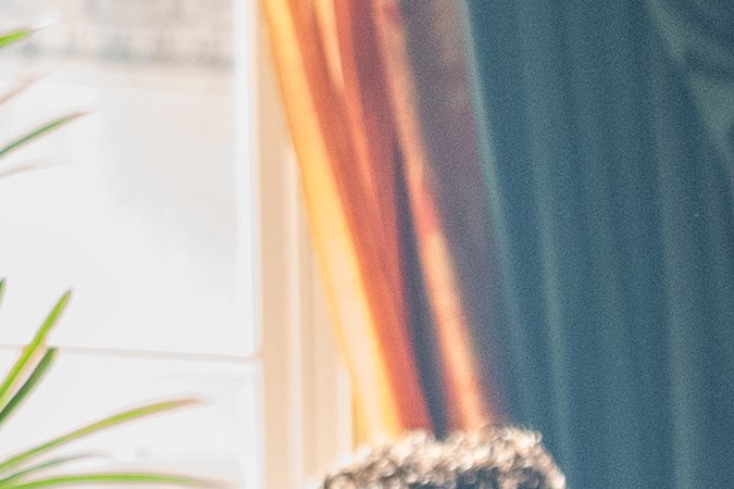 Bridgerton. Luke Thompson as Benedict Bridgerton in episode 301 of Bridgerton. Cr. Liam Daniel/Netflix © 2024