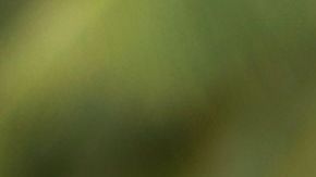 Danny Pino in Hotel Cocaine