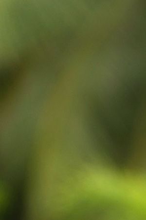 Danny Pino in Hotel Cocaine