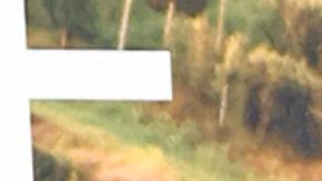 NEW YORK, NEW YORK - JUNE 20: Eva Longoria attends Apple TV+'s "Land Of Women" World Premiere at The Whitby Hotel on June 20, 2024 in New York City. (Photo by Jamie McCarthy/Getty Images)