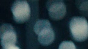 Marcello Hernandez and Myke Towers