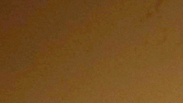 Mía Maestro in Grassland