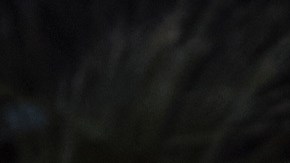 Peso Pluma_2024 Premios