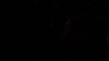 Los Tigres Del Norte_'Aquí Mando