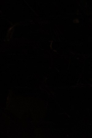 Los Tigres Del Norte_'Aquí Mando