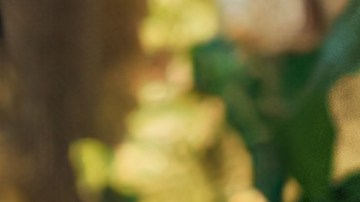 Venesti_Goyo_Slow Mike