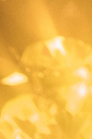 Siddhartha_'Miel de Azar'