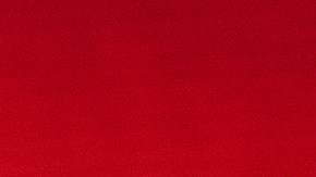 Peso Pluma_Surgery_Éxodo Tour