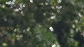 A member of LGBBTTIQ community takes part during the colorful parade as part of the 44th annual pride march at the Angel of Independence. Photo credit should read Carlos Tischler / Eyepix Group/Future Publishing via Getty Images