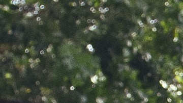 A member of LGBBTTIQ community takes part during the colorful parade as part of the 44th annual pride march at the Angel of Independence. Photo credit should read Carlos Tischler / Eyepix Group/Future Publishing via Getty Images
