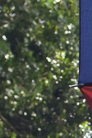 A member of LGBBTTIQ community takes part during the colorful parade as part of the 44th annual pride march at the Angel of Independence. Photo credit should read Carlos Tischler / Eyepix Group/Future Publishing via Getty Images