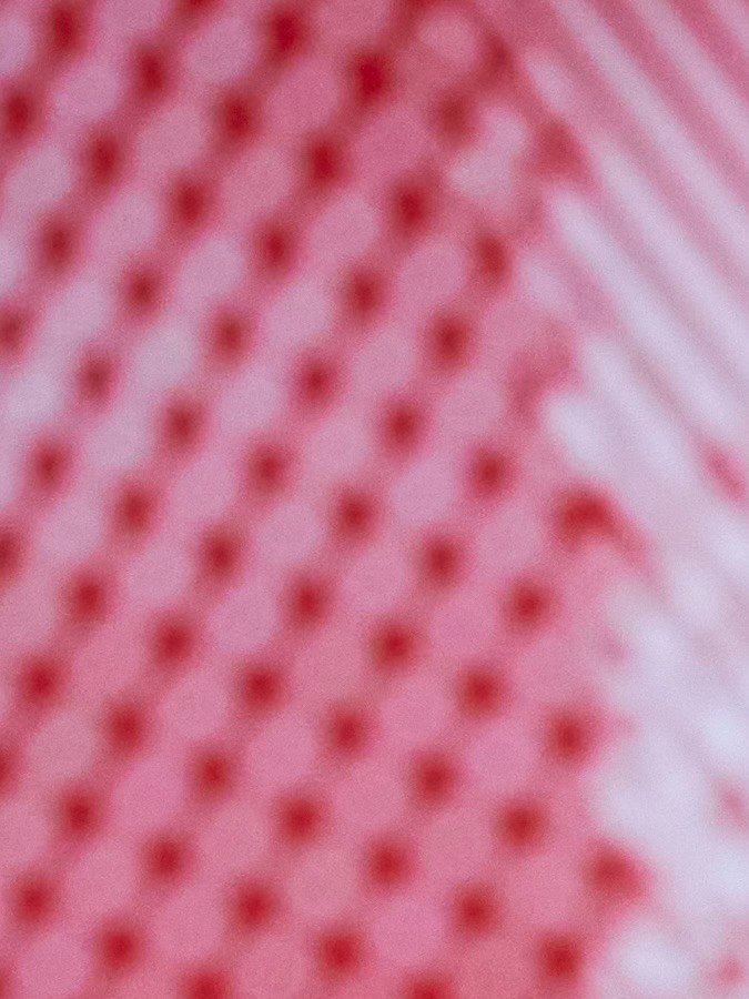 Leylah Fernandez Lululemon Team Canada