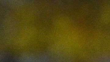 Argentine singer Abel Pintos sings Argentina national anthem before the Conmebol 2024 Copa America tournament final football match between Argentina and Colombia at the Hard Rock Stadium, in Miami, Florida on July 14, 2024. (Photo by Chandan Khanna / AFP) (Photo by CHANDAN KHANNA/AFP via Getty Images)