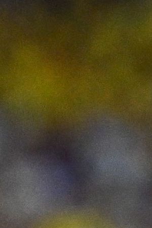 Argentine singer Abel Pintos sings Argentina national anthem before the Conmebol 2024 Copa America tournament final football match between Argentina and Colombia at the Hard Rock Stadium, in Miami, Florida on July 14, 2024. (Photo by Chandan Khanna / AFP) (Photo by CHANDAN KHANNA/AFP via Getty Images)