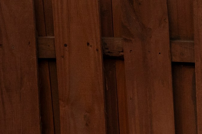 Cobra Kai. (L to R) Tanner Buchanan as Robby Keene, Peyton List as Tory Nichols, Xolo Maridueña as Miguel Diaz, Mary Mouser as Samantha LaRusso in Cobra Kai. Cr. Curtis Bonds Baker/Netflix © 2024