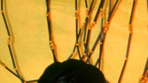 The Smiths_‘How Soon Is Now’