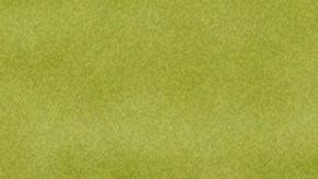 CHATEAUROUX, FRANCE - JULY 31: Gold medalist Adriana Ruano Oliva of Team Guatemala celebrates on the podium at the Shooting Trap Women’s medal ceremony on day five of the Olympic Games Paris 2024 at Chateauroux Shooting Centre on July 31, 2024 in Chateauroux, France. (Photo by Charles McQuillan/Getty Images)