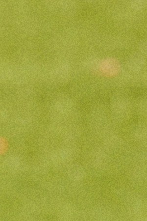 CHATEAUROUX, FRANCE - JULY 31: Gold medalist Adriana Ruano Oliva of Team Guatemala celebrates on the podium at the Shooting Trap Women’s medal ceremony on day five of the Olympic Games Paris 2024 at Chateauroux Shooting Centre on July 31, 2024 in Chateauroux, France. (Photo by Charles McQuillan/Getty Images)